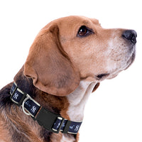 New York Yankees Dog Satin Collar or Leash