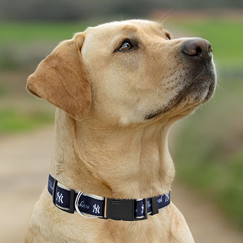 New York Yankees Dog Satin Collar or Leash