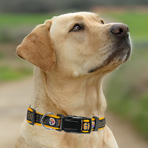 Pittsburgh Steelers Dog Satin Collar or Leash