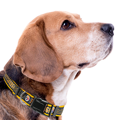 Pittsburgh Steelers Dog Satin Collar or Leash