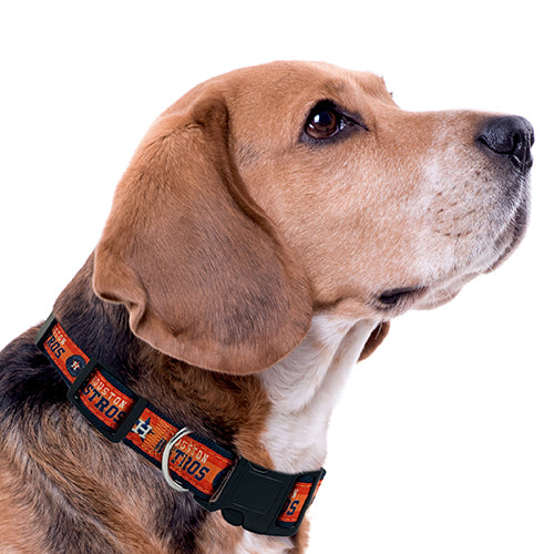 Houston Astros Dog Satin Collar or Leash