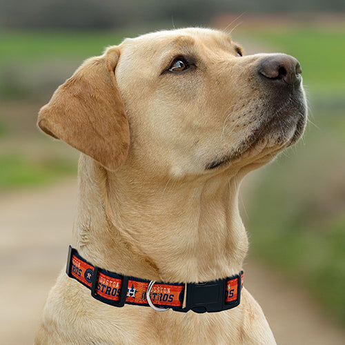 Houston Astros Dog Satin Collar or Leash