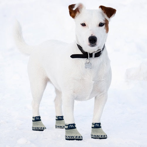 New York Yankees Anti-Slip Dog Socks