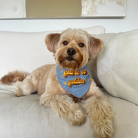You're So Golden Pet Bandana