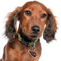 AZ Cardinals Pet ID Tag