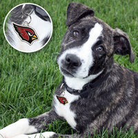 AZ Cardinals Pet ID Tag