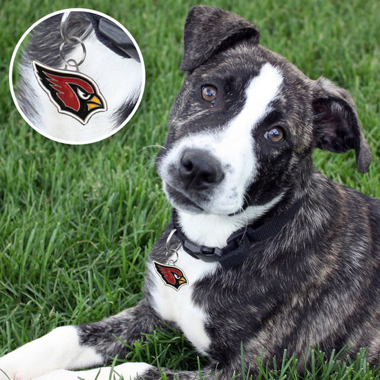 AZ Cardinals Pet ID Tag