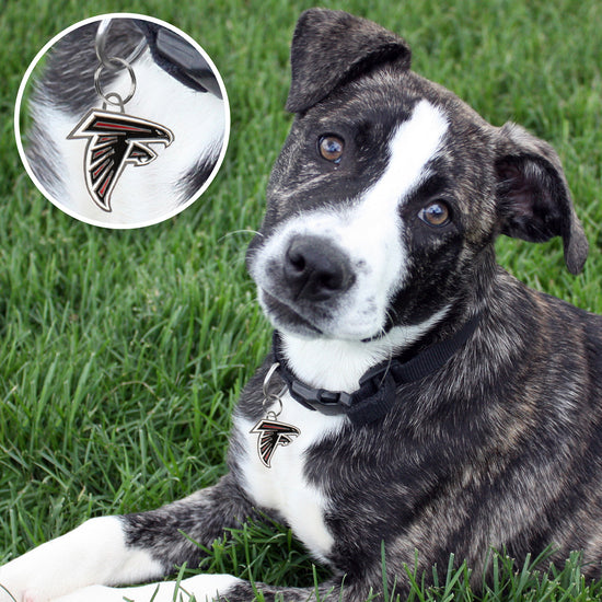 Atlanta Falcons Pet ID Tag