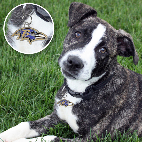 Baltimore Ravens Pet ID Tag