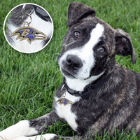 Baltimore Ravens Pet ID Tag