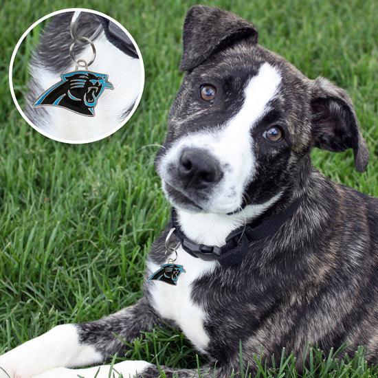 Carolina Panthers Pet ID Tag