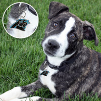 Carolina Panthers Pet ID Tag