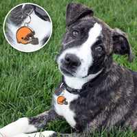 Cleveland Browns Pet ID Tag