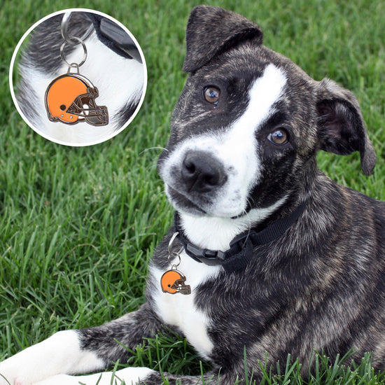 Cleveland Browns Pet ID Tag