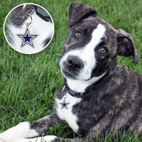 Dallas Cowboys Pet ID Tag