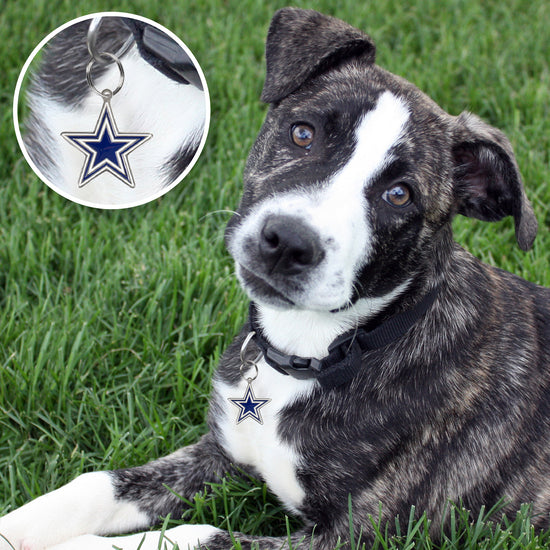Dallas Cowboys Pet ID Tag