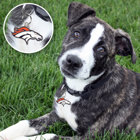 Denver Broncos Pet ID Tag