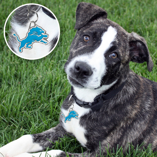 Detroit Lions Pet ID Tag