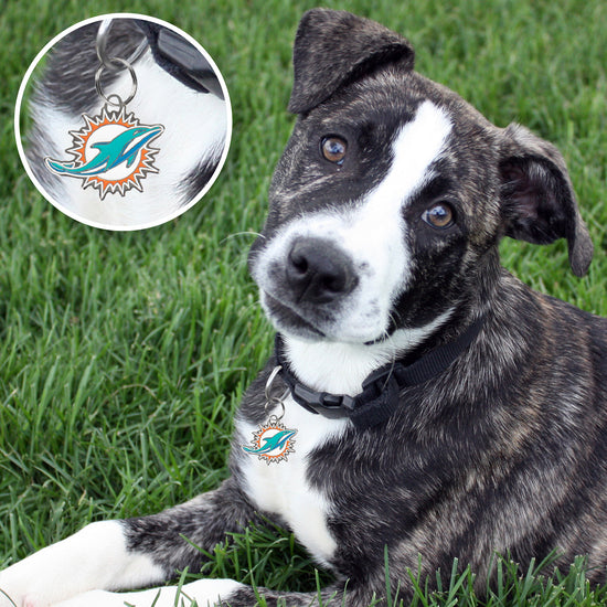 Miami Dolphins Pet ID Tag
