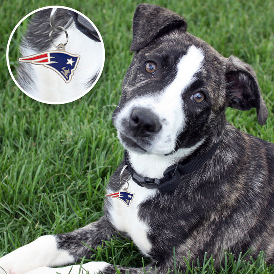 New England Patriots Pet ID Tag