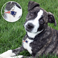 New England Patriots Pet ID Tag