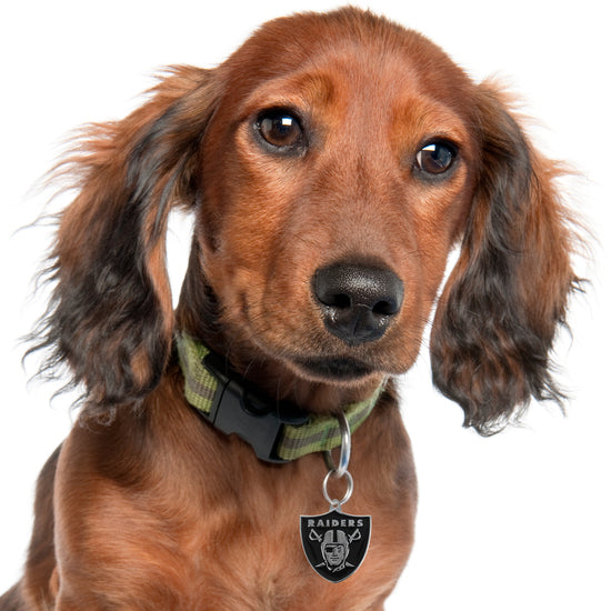 Las Vegas Raiders Pet ID Tag
