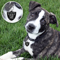 Las Vegas Raiders Pet ID Tag