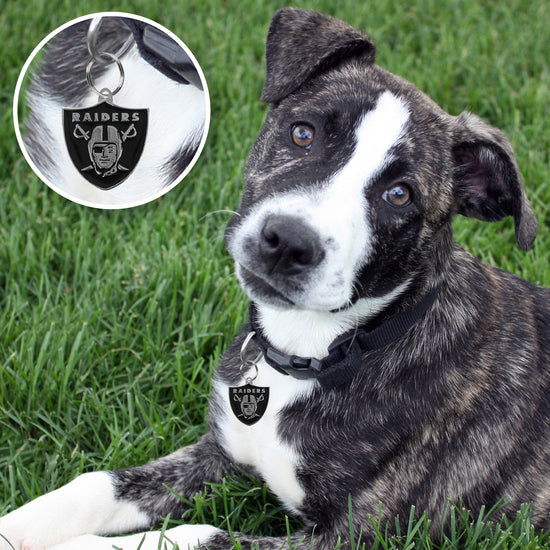 Las Vegas Raiders Pet ID Tag