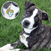 Los Angeles Rams Pet ID Tag
