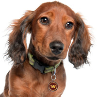 Washington Commanders Pet ID Tag