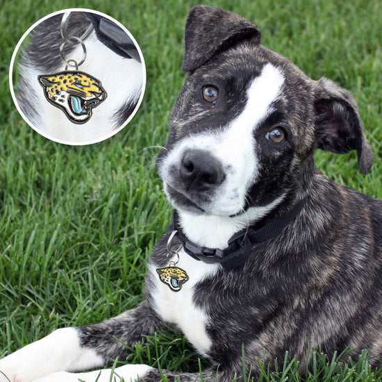 Jacksonville Jaguars Pet ID Tag