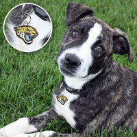 Jacksonville Jaguars Pet ID Tag