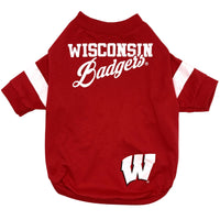 WI Badgers Stripe Tee Shirt