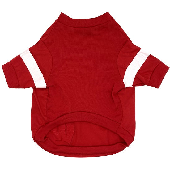 WI Badgers Stripe Tee Shirt