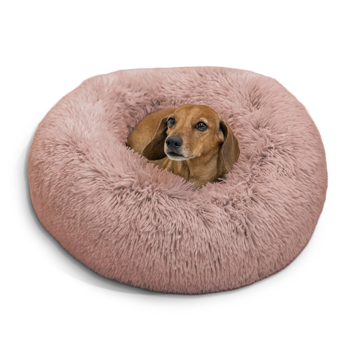 Best friends by sheri best sale donut shag dog bed