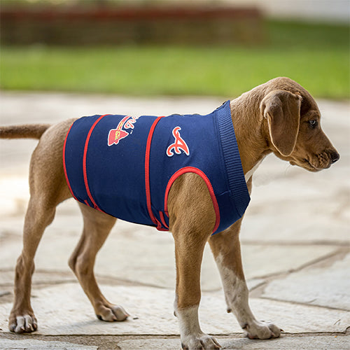 Dog Jersey Atlanta Braves Pet Atlanta Braves Soothing Solution