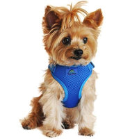 Solid Color Mesh Wrap and Snap Choke Free Step In Harness - Cobalt Blue