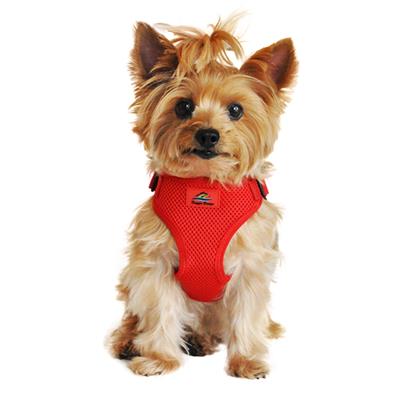 Solid Color Mesh Wrap and Snap Choke Free Step In Harness - Red