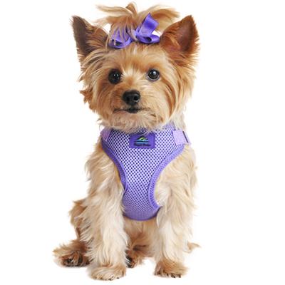 Solid Color Mesh Wrap and Snap Choke Free Step In Harness - Purple
