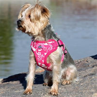 Pink Hibiscus Print Fabric over Mesh Wrap and Snap Choke Free Step In Harness
