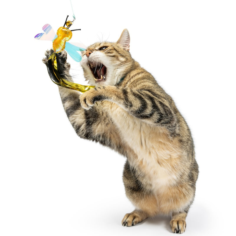 Buzz Bee Streamers 2pk Refill Cat Toy