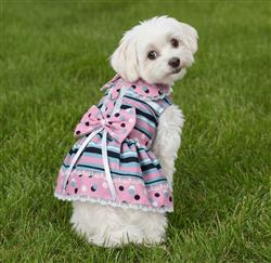 Dots & Stripes Harness Dress with Leash