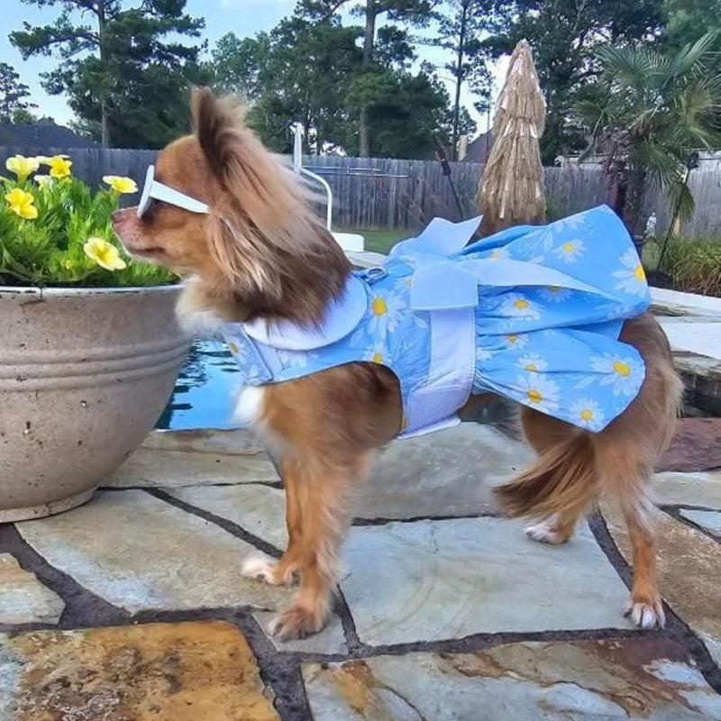 Blue Daisy Harness Dress with Leash