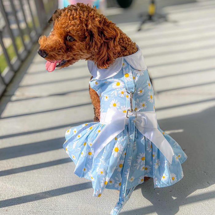 Blue Daisy Harness Dress with Leash