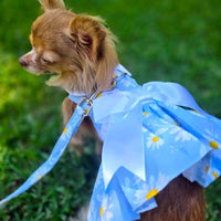 Blue Daisy Harness Dress with Leash