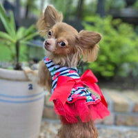 Cherry Stripe Harness Dress with Leash