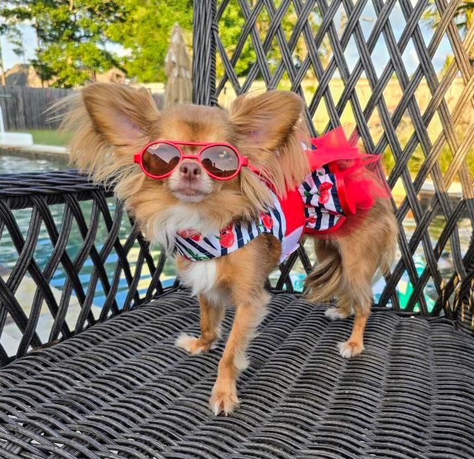 Cherry Stripe Harness Dress with Leash