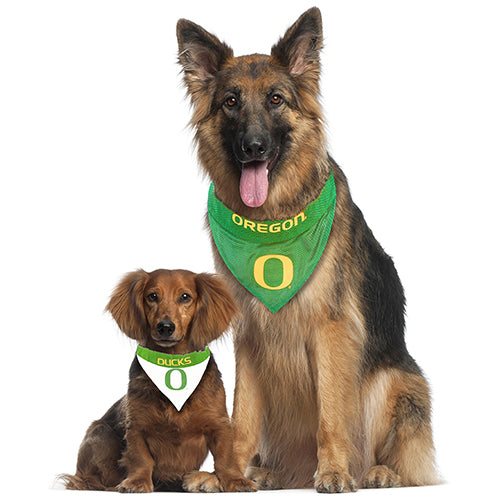 OR Ducks Reversible Slide-On Bandana