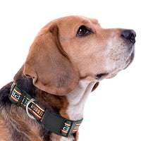 MIA Hurricanes Dog Satin Collar or Leash