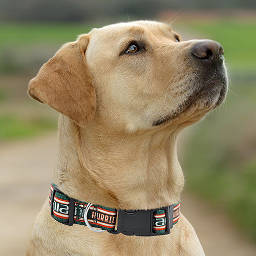 MIA Hurricanes Dog Satin Collar or Leash